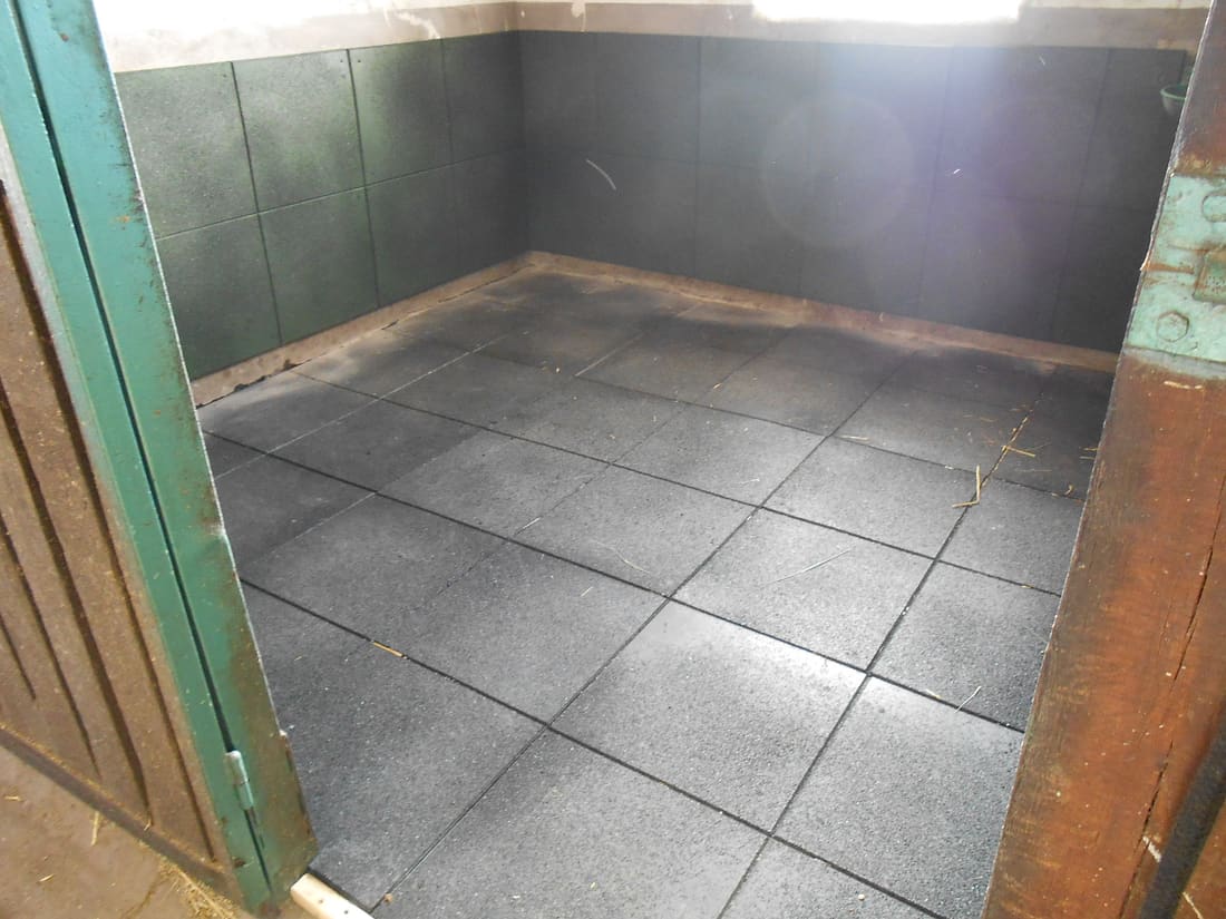 Horse box with a rubber tile floor