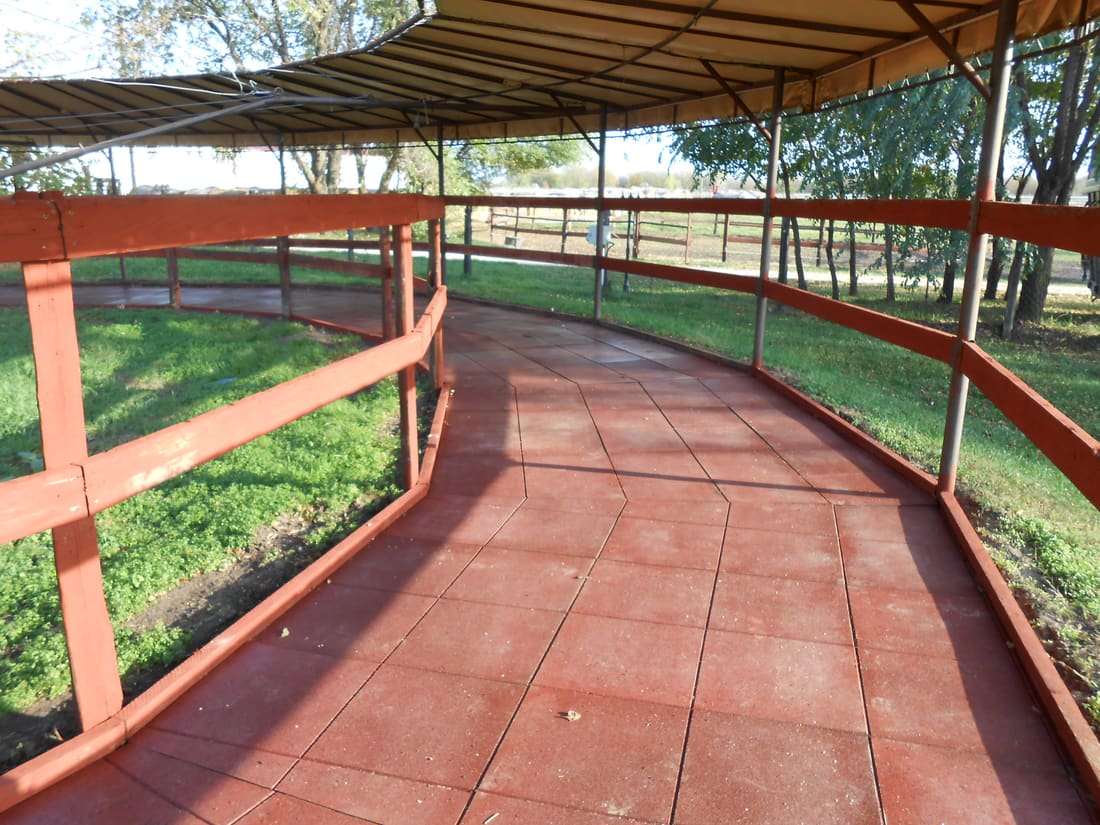 Red rubber tile surface in a covered equestrian walkway